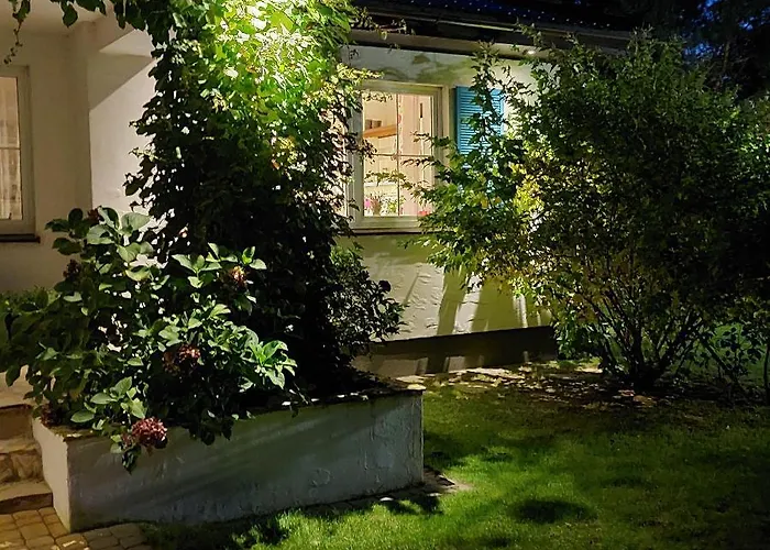 Biala Przystan 펜션 사시노