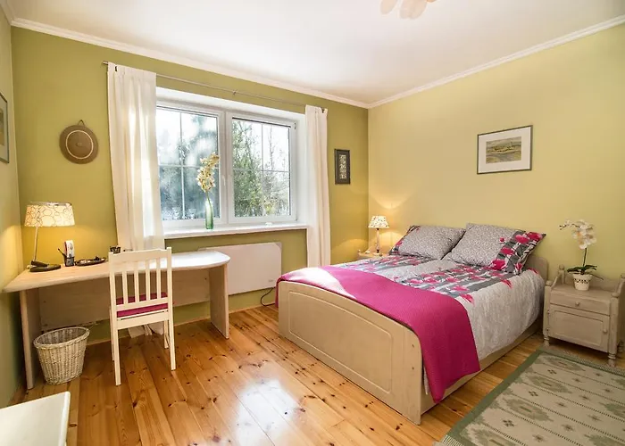 Biala Przystan 펜션 사시노