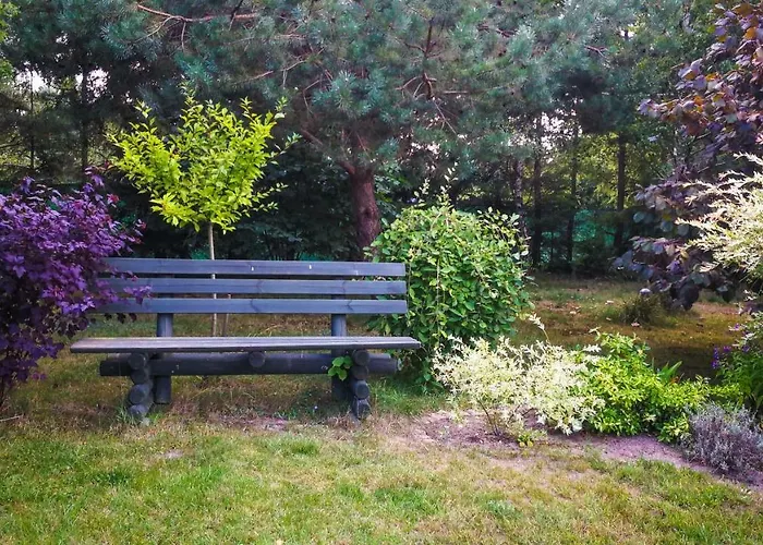 Biala Przystan 펜션 사시노