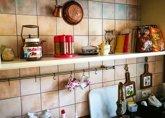 Biala Przystan * 사시노